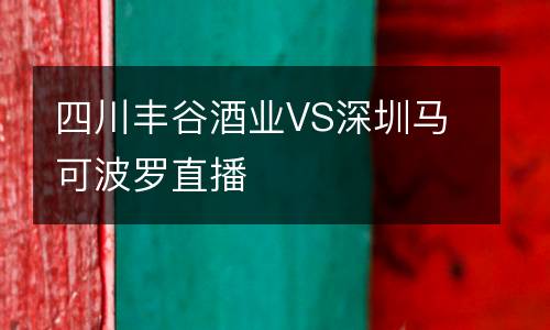 四川豐谷酒業VS深圳馬可波羅直播
