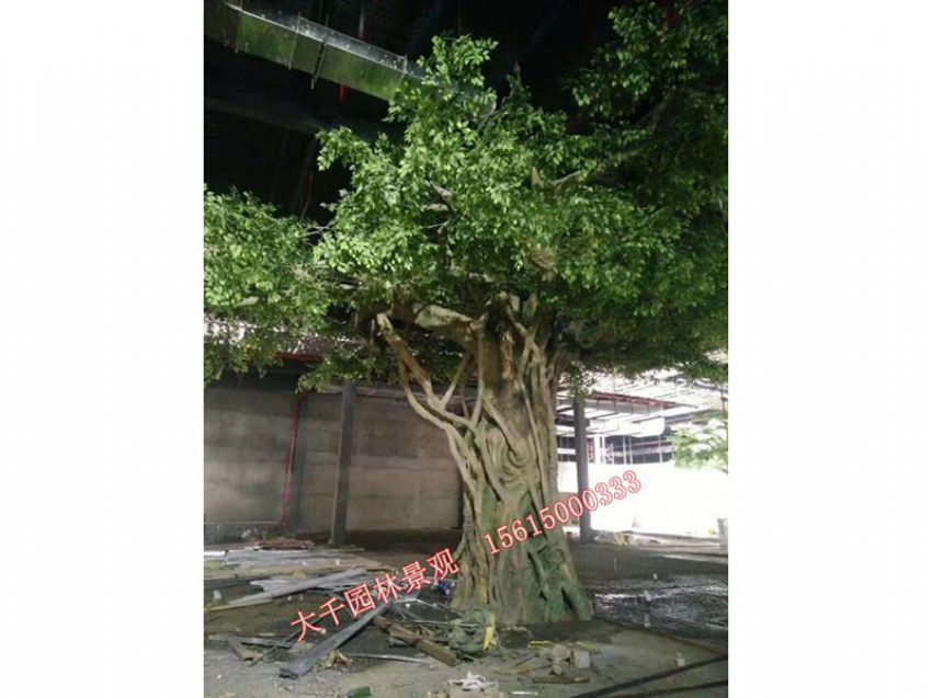 點(diǎn)擊查看詳細(xì)信息<br>標(biāo)題：假樹 閱讀次數(shù)：2400