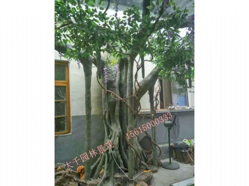 點(diǎn)擊查看詳細(xì)信息<br>標(biāo)題：假樹 閱讀次數(shù)：2446